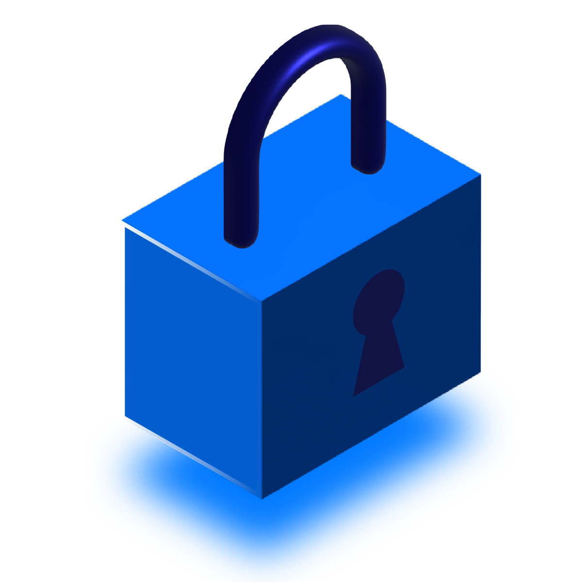 Secure Icon